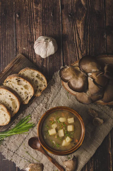 Homemade delish soup with herbs inside and oyster mushroom — Stock Image Homemade Delish Soup Herbs Oyster Mushroom Stock Photo