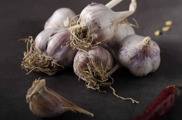 Bio garlic from garden, organic garlic on dark background