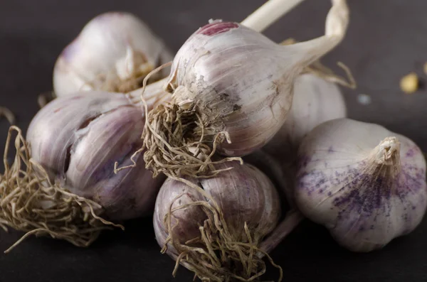 Bio Garlic Garden Organic Garlic Dark Background — Stock Photo, Image