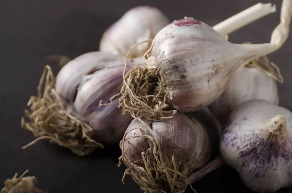 Bio Garlic Garden Organic Garlic Dark Background — Stock Photo, Image