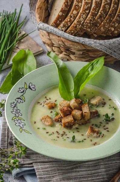 Bärlauch und Kräutersuppe — Stockfoto