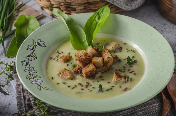 Bear garlic and herbs soup