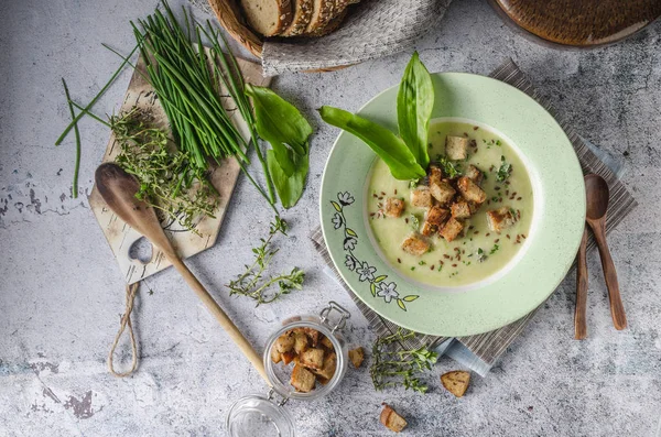 Oso ajo y hierbas sopa —  Fotos de Stock