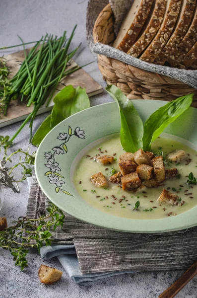 Zupa czosnkowa i ziołowa — Zdjęcie stockowe