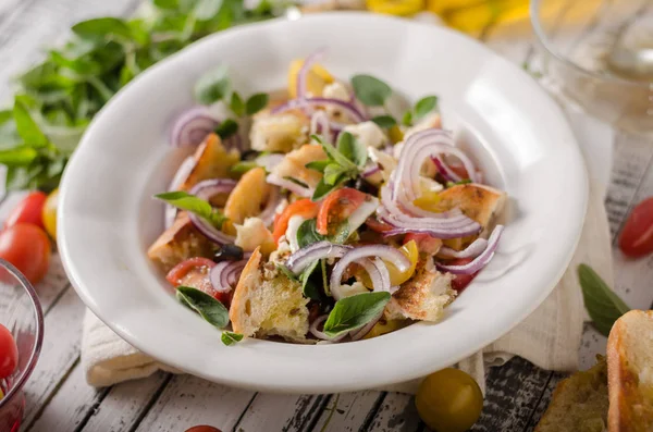 Panzanella sallad med krispiga krutonger — Stockfoto