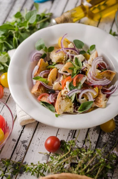 Insalata di panzanella con crostini croccanti — Foto Stock