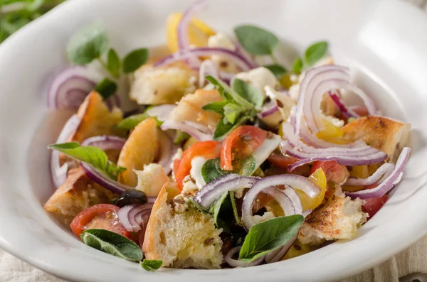 Panzanella sallad med krispiga krutonger — Stockfoto