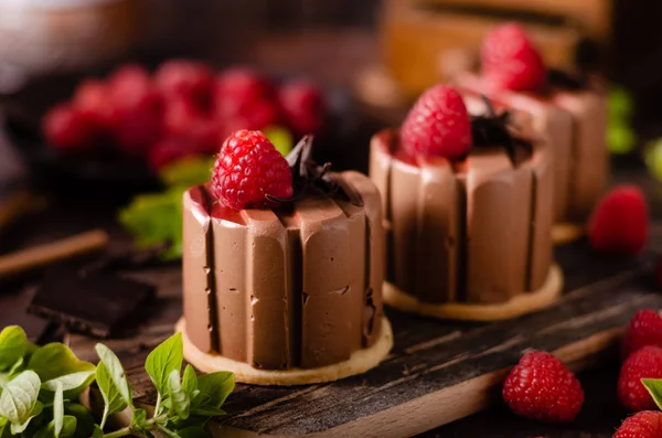 Ev yapımı çikolatalı mini kek. — Stok fotoğraf