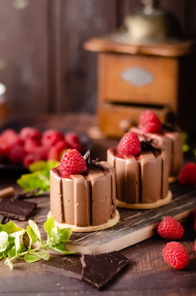 Homemade chocolate mini cakes — Stock Photo, Image