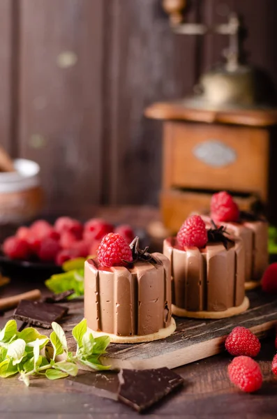 Ev yapımı çikolatalı mini kek. — Stok fotoğraf