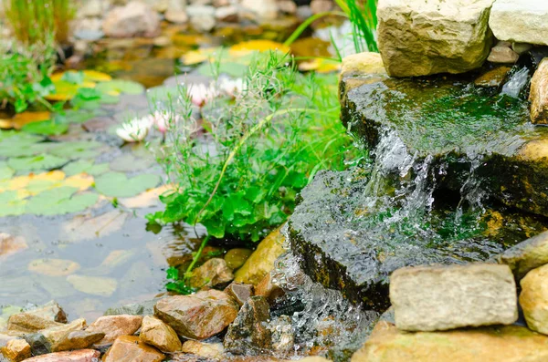 Natuurlijke vijver in tuin — Stockfoto