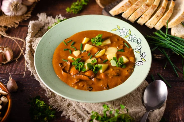 Potato mushrooms soup — Stock Photo, Image