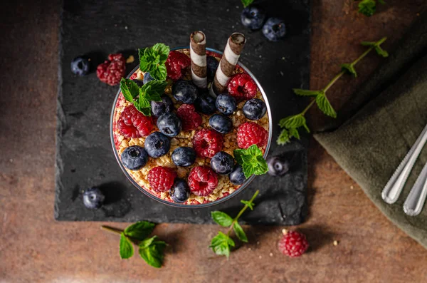 Vainilla Panna Cotta Con Bayas Galletas Crujientes —  Fotos de Stock