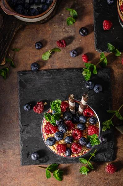 Vainilla Panna Cotta Con Bayas Galletas Crujientes —  Fotos de Stock