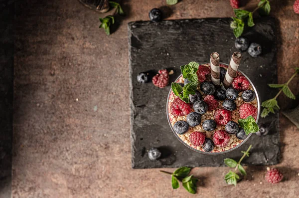 Vanilla Panna Cotta Berries Crunchy Cookies — Stock Photo, Image