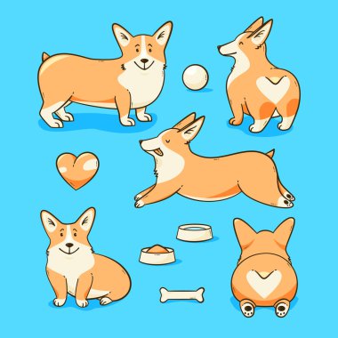 Galce corgi köpek, vektör çizim bir kalple ayarla
