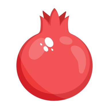 Organik doğal ve sağlıklı meyve, bir nar.