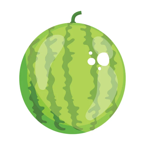 夏天水果西瓜 多汁健康饮食 — 图库矢量图片