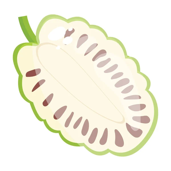 Platt Ikon Durian Naturliga Hälsosamma Livsmedel — Stock vektor