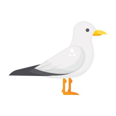 Güzel gaga kuşu, güvercin simgesinin moda tasarımı