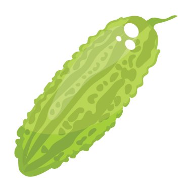 Acı kabak tropikal ve tropikal olarak bol yetişmiş yenilebilir bir meyvedir.