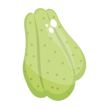 Tereyağlı kabak, sarmaşıkta yetişen bir kabak türüdür.