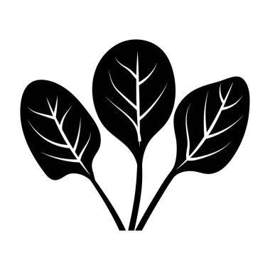 Taze ıspanak yaprakları, sağlıklı yiyeceklerin sembolü. 