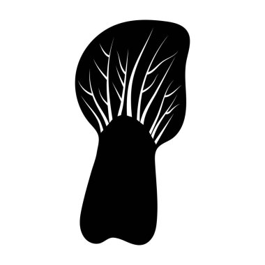 Bir bok choy vektörü tasarımı, düzenlenebilir vektör içinde etli ekili 