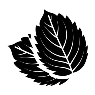Nane yaprakları simge tasarımı, organik yapraklar vektörü stilde 