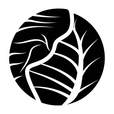 Lahana sembolü, sebze salatası vektörü 