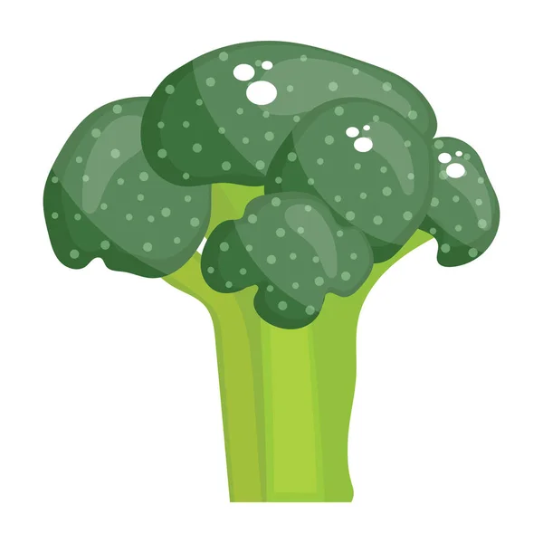 Légume Riche Fer Icône Brocoli Dans Style Glyphe — Image vectorielle