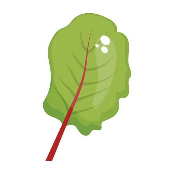新鲜菠菜叶 健康食品的象形文字 — 图库矢量图片