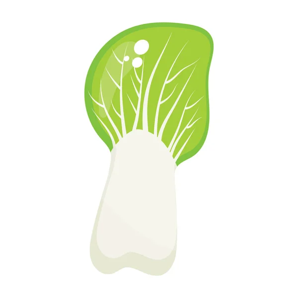 Diseño Bok Choy Vector Cultivo Carnoso Vector Editable — Vector de stock