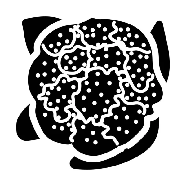 Coliflor Con Carne Comestible Que Asemeja Flor Diseño Icono Glifo — Vector de stock