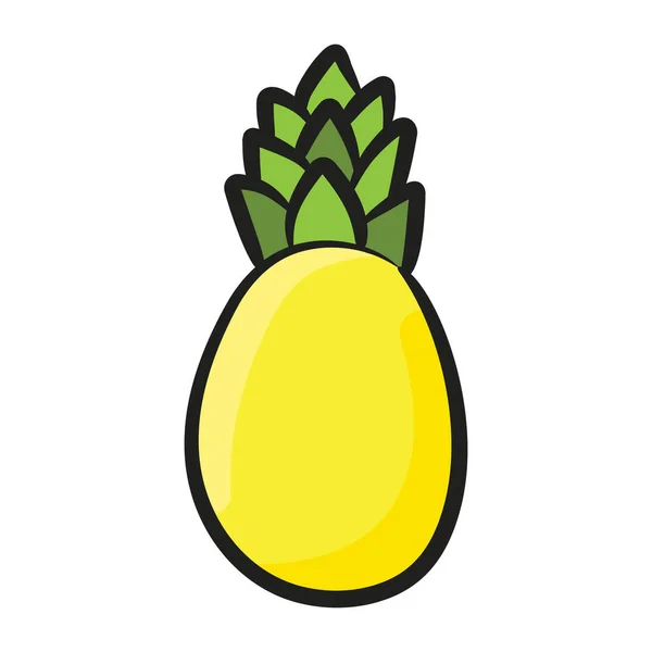 Tropical Fruit Icon Design Ananas Comosus Vector — Stock Vector