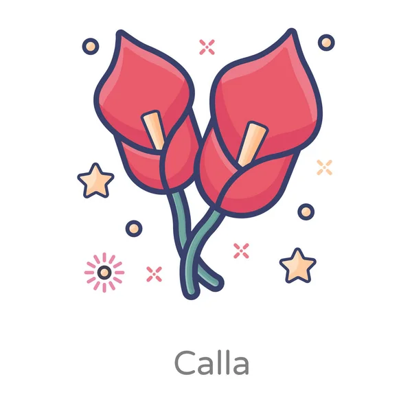 Une Plante Robuste Succulente Aussi Appelée Calla Icône Lys Arum — Image vectorielle
