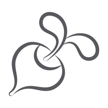 Şalgam adında çeşitli sağlık faydaları olan kök sebze.