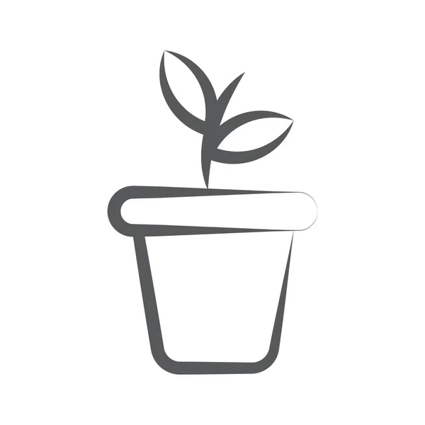 Eine Ikone Design Der Einheimischen Pflanze Vektor Der Natürlichen Pflanze — Stockvektor