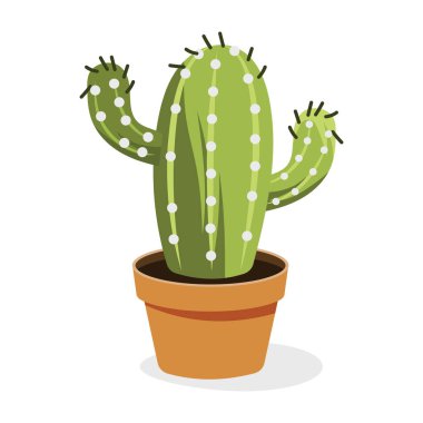 Astrophytum Evergreen bitki düz vektörü 