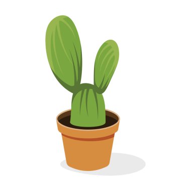 Astrophytum Evergreen bitki düz vektörü 