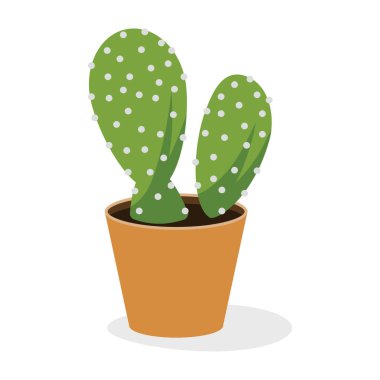 Ferocactus saksı bitkisi düz simgesi 