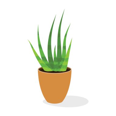 Kapalı alanda, yassı ikon, kapalı alanda çalılar içinde yabani saksı bitkisi.  