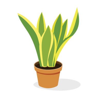 Yılan bitkisi düz vektör, iç dekorasyon aksesuarı  