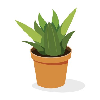 Düz simgede saksı bitkisi, süs bitkisi  