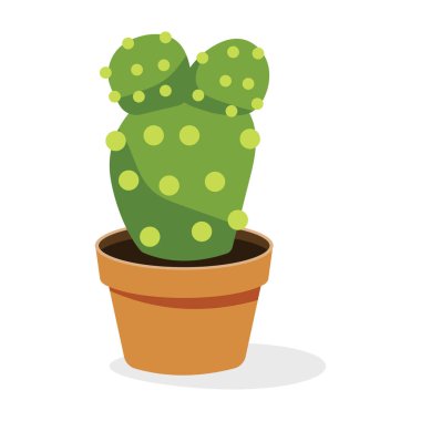  Düz stil armut dikenli 