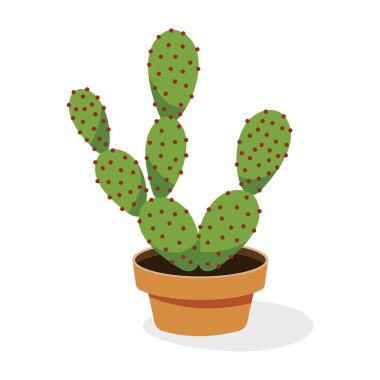 Düz bir ikonda kapalı bir opuntia bitkisi, süs bitkisi  