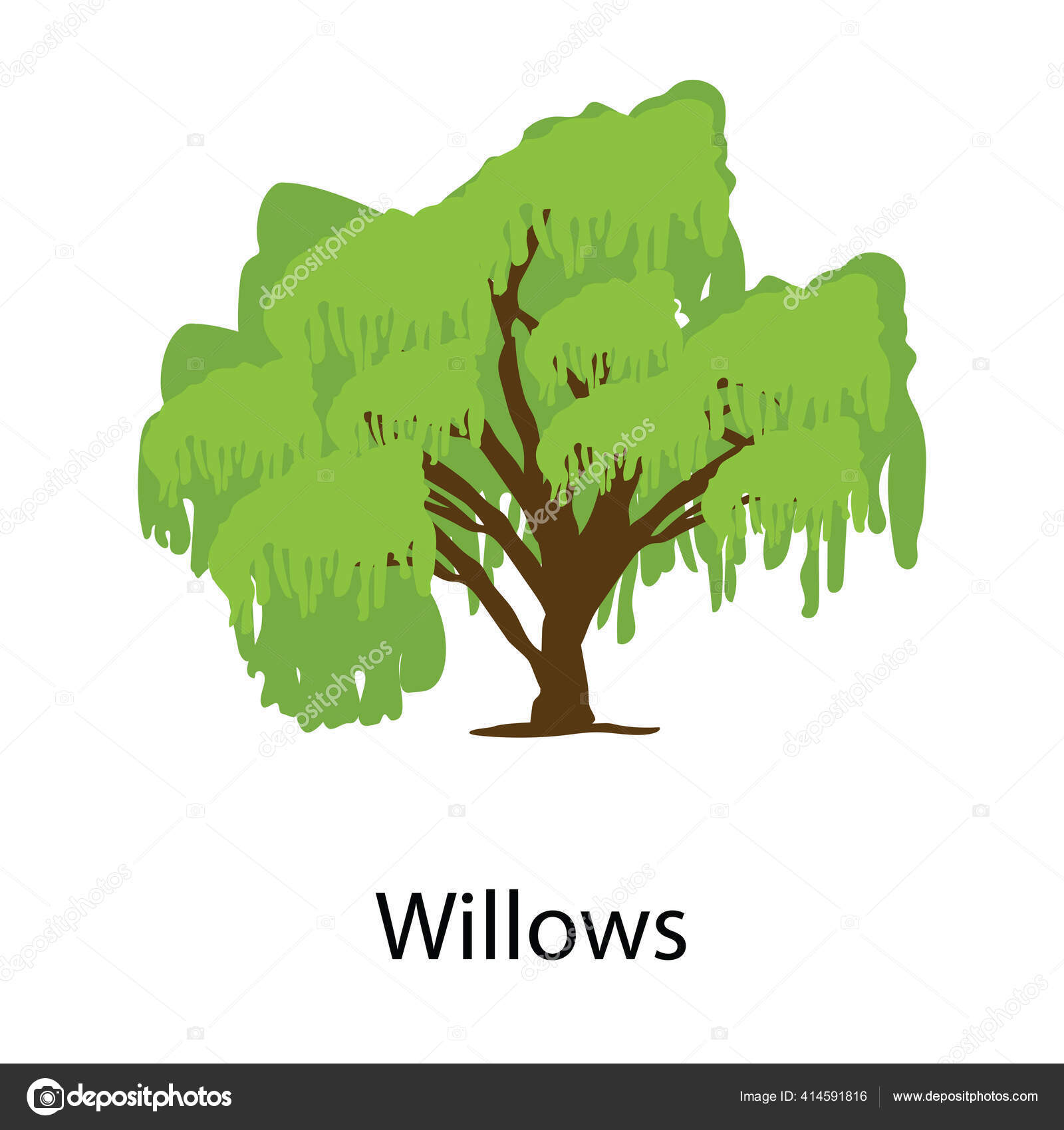 Arbusto Clima Templado Icono Del Árbol Sauces Diseño Plano vector, gráfico vectorial