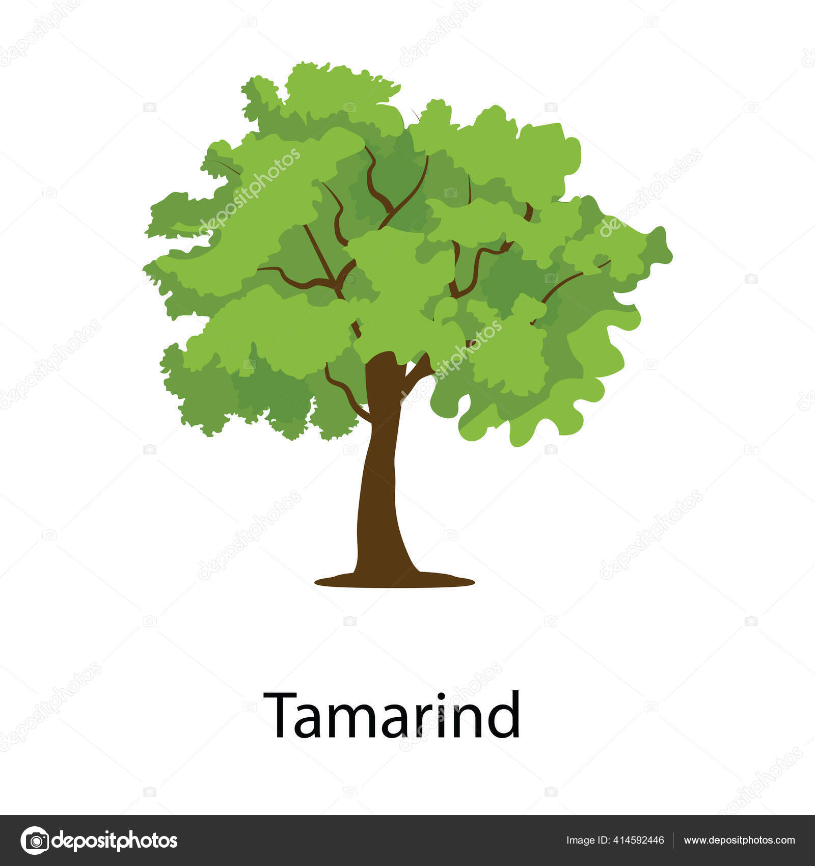 259 Tamarind Tree Vector Images Royalty Free Tamarind Tree Vectors Depositphotos 259 Tamarind Tree Vector Images Royalty Free Tamarind Tree Vectors Depositphotos