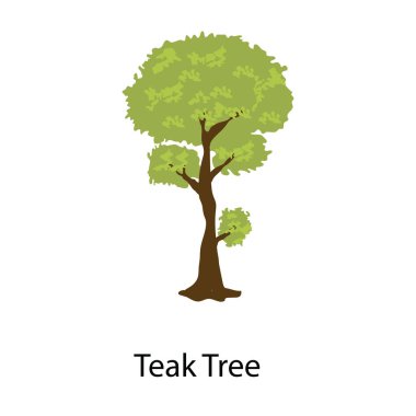 A tropical hardwood teak tree icon clipart