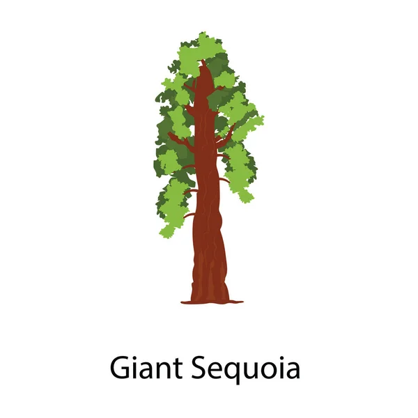 Redwood Plantage Träd Ikon Jätte Sequoia — Stock vektor